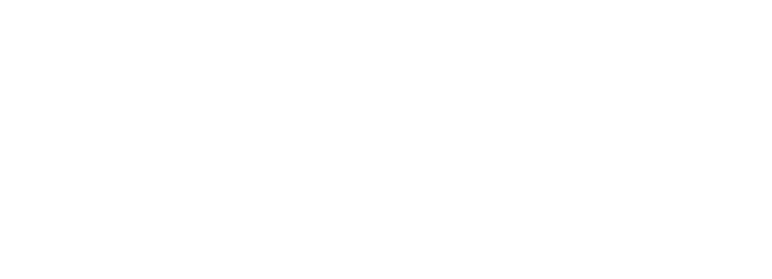 Ada Digital