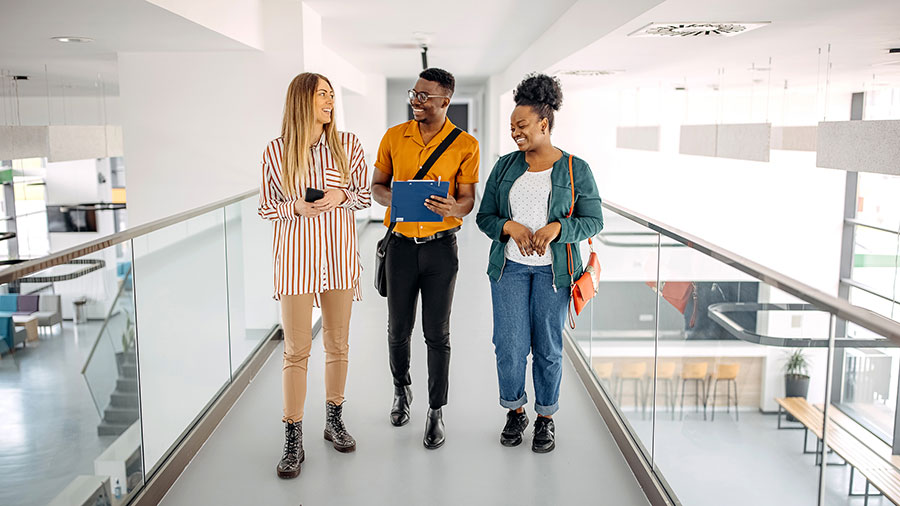 Diversity4Tech är ett nytt talangprogram inom IT / Tech.